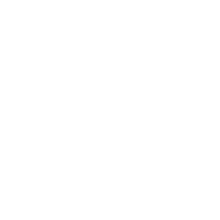 Boston Chimney Sweep